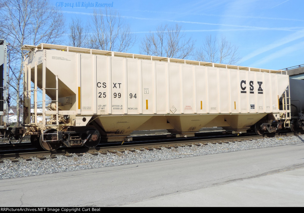 CSX 259994